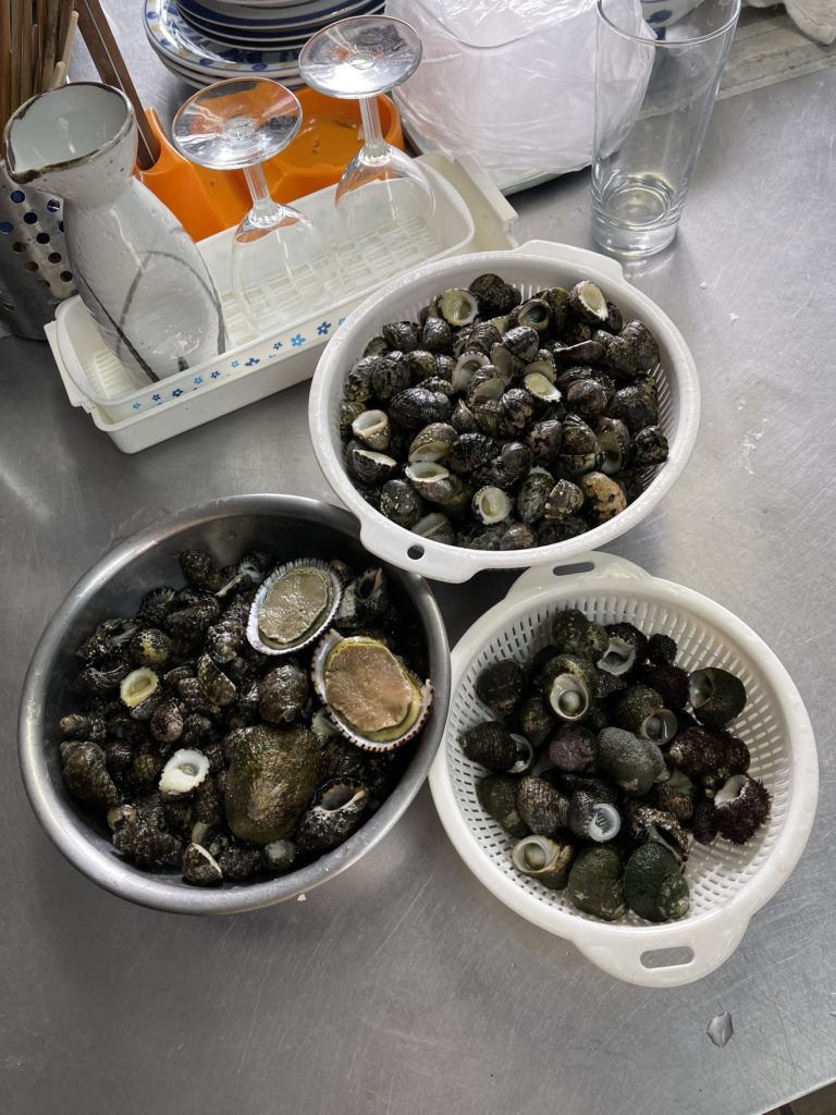 43EC058232CE46F8AEFDEC237B3BDF7B 768x1024