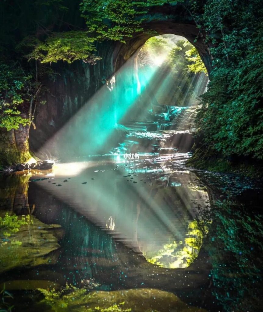 B680AD1E39D802EF611E81562C937212 863x1024