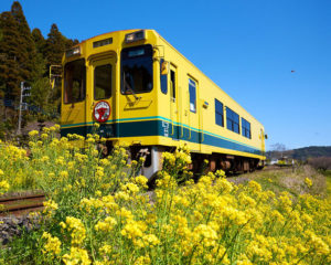 Isumi Railway Isumi Line 07 Thumb 800xauto 30540 300x240